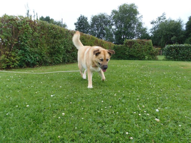 ../fotos/het_verlaat_2017/2017-07-10 18.22.04.jpg